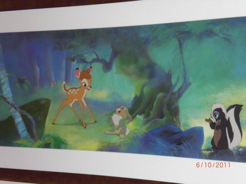 Bild im Zimmer Disney's Sequoia Lodge