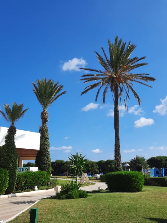 Außenansicht Mahdia Palace Thalasso