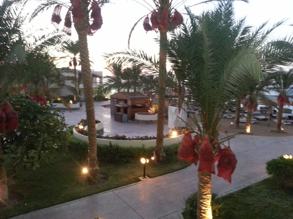 Ausblick aus dem Zimmer  Palm Beach Resort