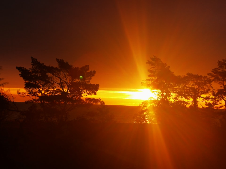 Ausblick Santé Royale Rügen Resort