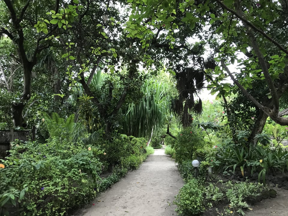 Gartenanlage Angaga Island Resort