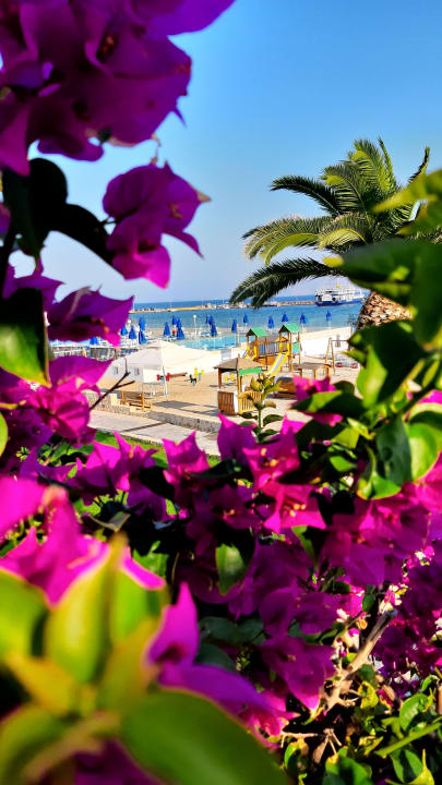 Gartenanlage Mastichari Bay Hotel