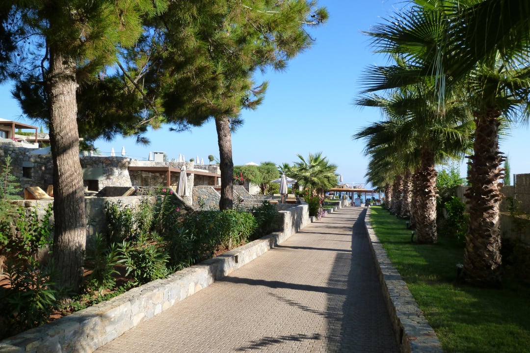 Der Weg zum Strand Sentido Kyknos Beach Adults Only 16+
