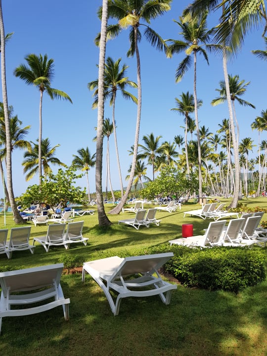 Sport & Freizeit Wyndham Alltra Samana