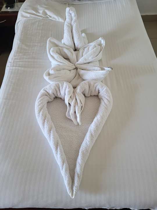 Zimmer Three Corners Happy Life Beach Resort