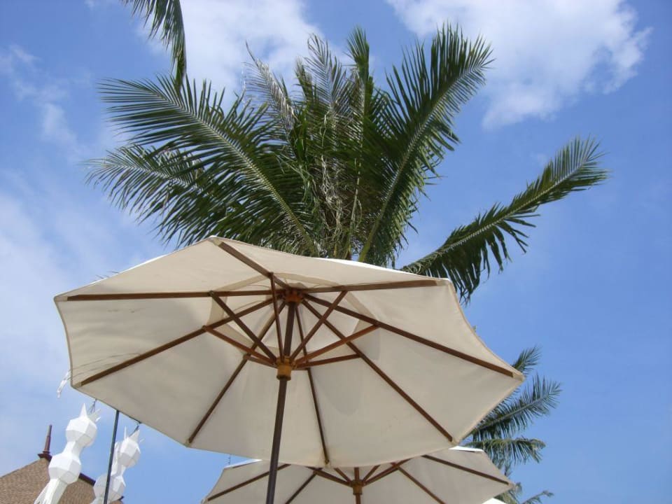 Palme Pavilion Samui Villas & Resort