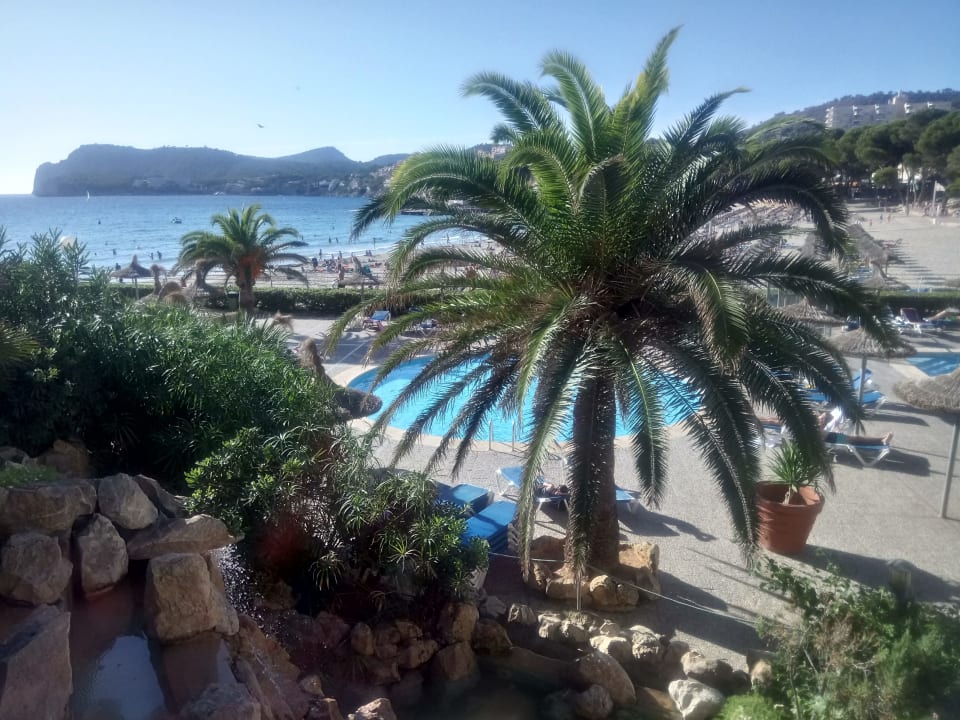 Gartenanlage Hotel Vibra Beverly Playa