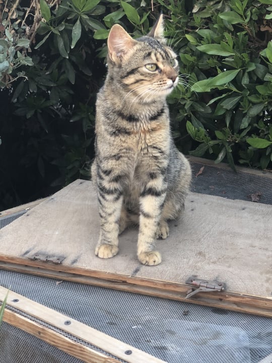 Gartenanlage Hotel Caves Beach Resort (Adults Only)