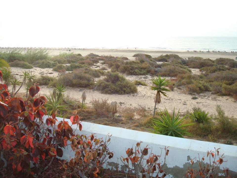 Blick nach links vom Hotel aus/Strand SBH Hotel Costa Calma Palace