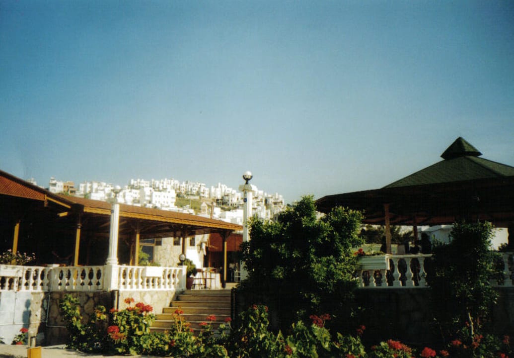 Poolbar Hotel Bendis Beach