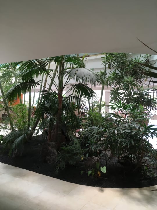 Sonstiges IFA Altamarena by Lopesan Hotels