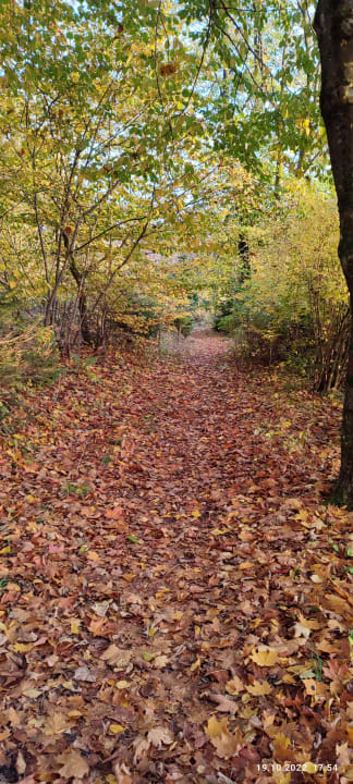 Ausblick Berghotel Hoher Knochen