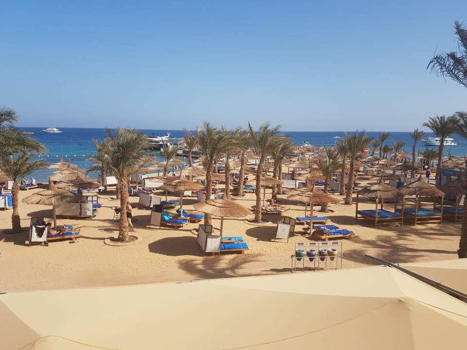 Ausblick Beach Albatros Resort