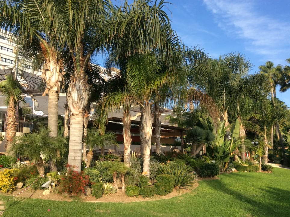 Gartenanlage Amathus Beach Hotel Limassol