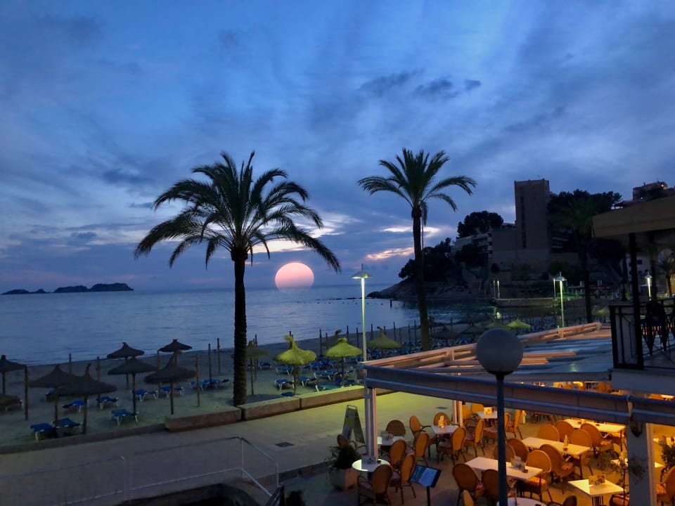 Strand Hotel Aparthotel Paguera Beach