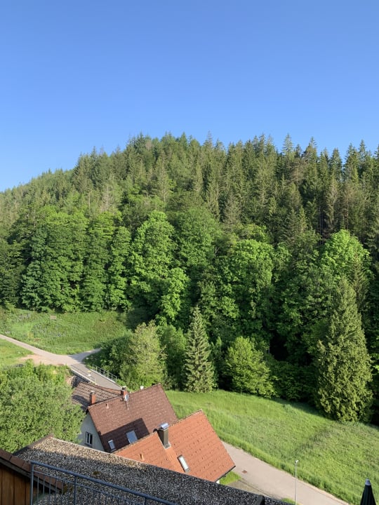 Ausblick Wellnesshotel Forsthaus Auerhahn