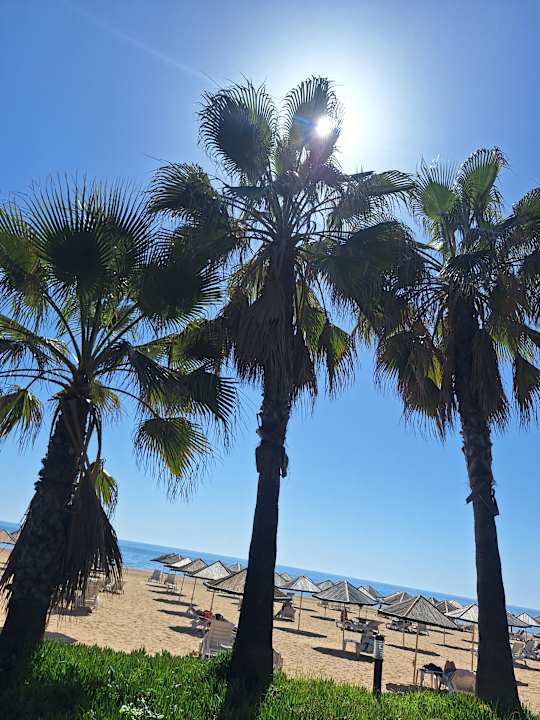 Strand Hotel Defne Garden