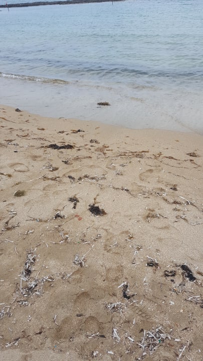 Strand Salamis Bay Conti Resort Hotel & Casino