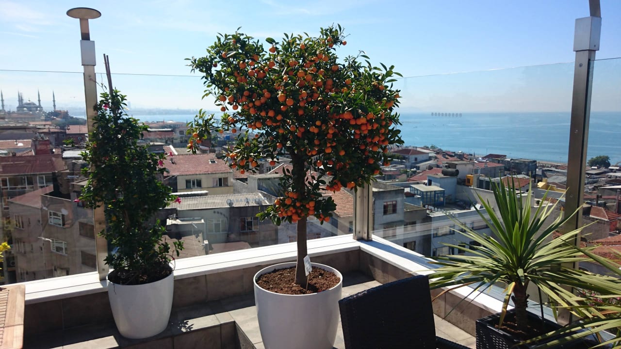 Ausblick Dachterasse  Best Western Plus The President Hotel