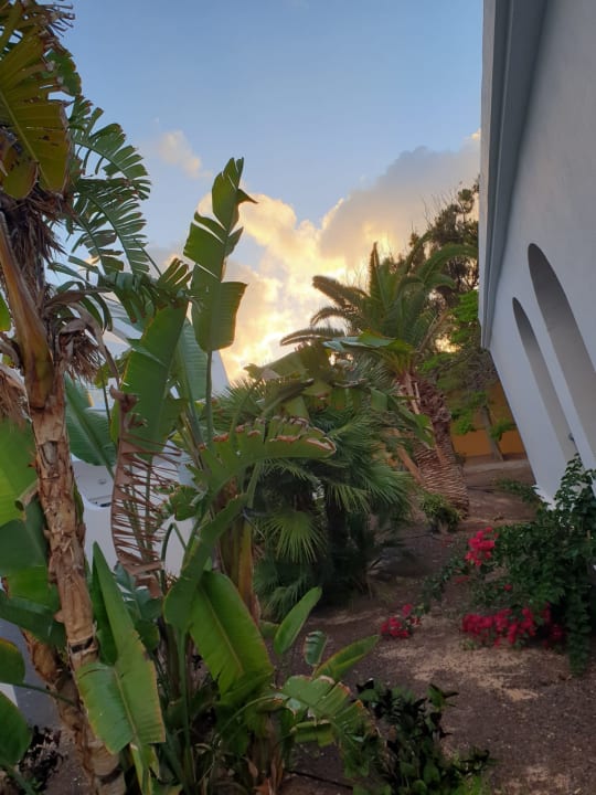 Außenansicht AluaVillage Fuerteventura