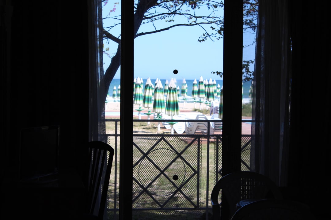 View from the room Hotel Mura