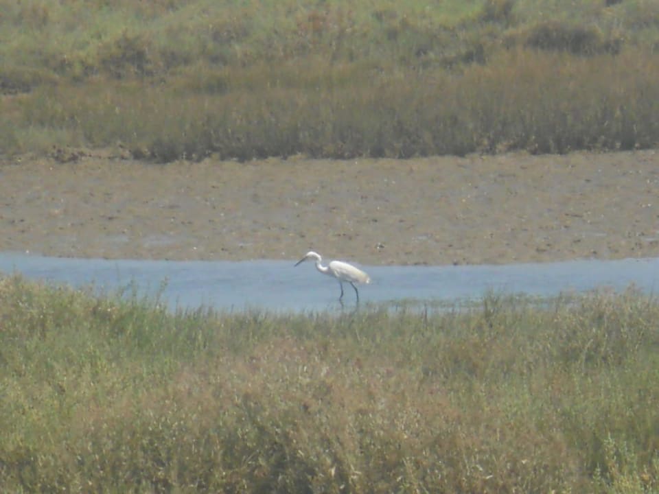 Lagune Golden Club Cabanas