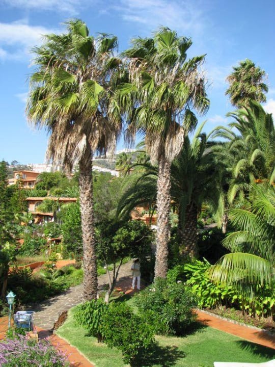 Tolle Palmen Hotel Quinta Splendida Wellness & Botanical Garden