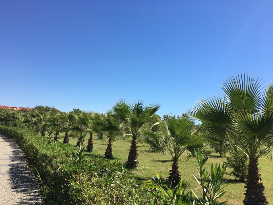Garten Club Grand Side