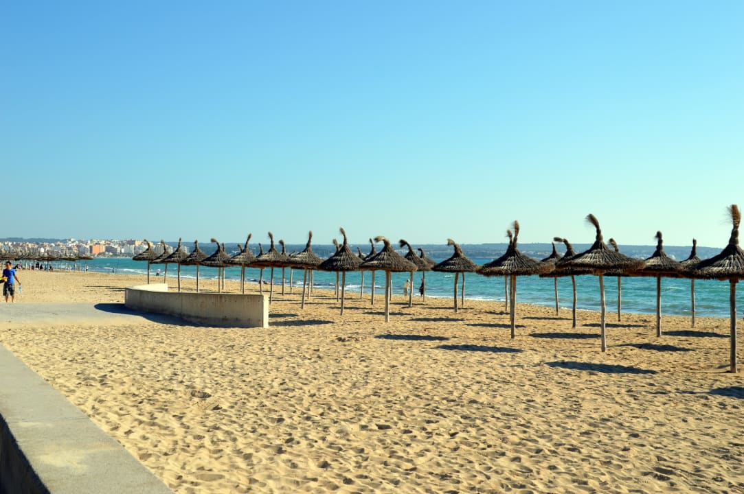 Strand an der Palya des Palma Hotel HM Gran Fiesta