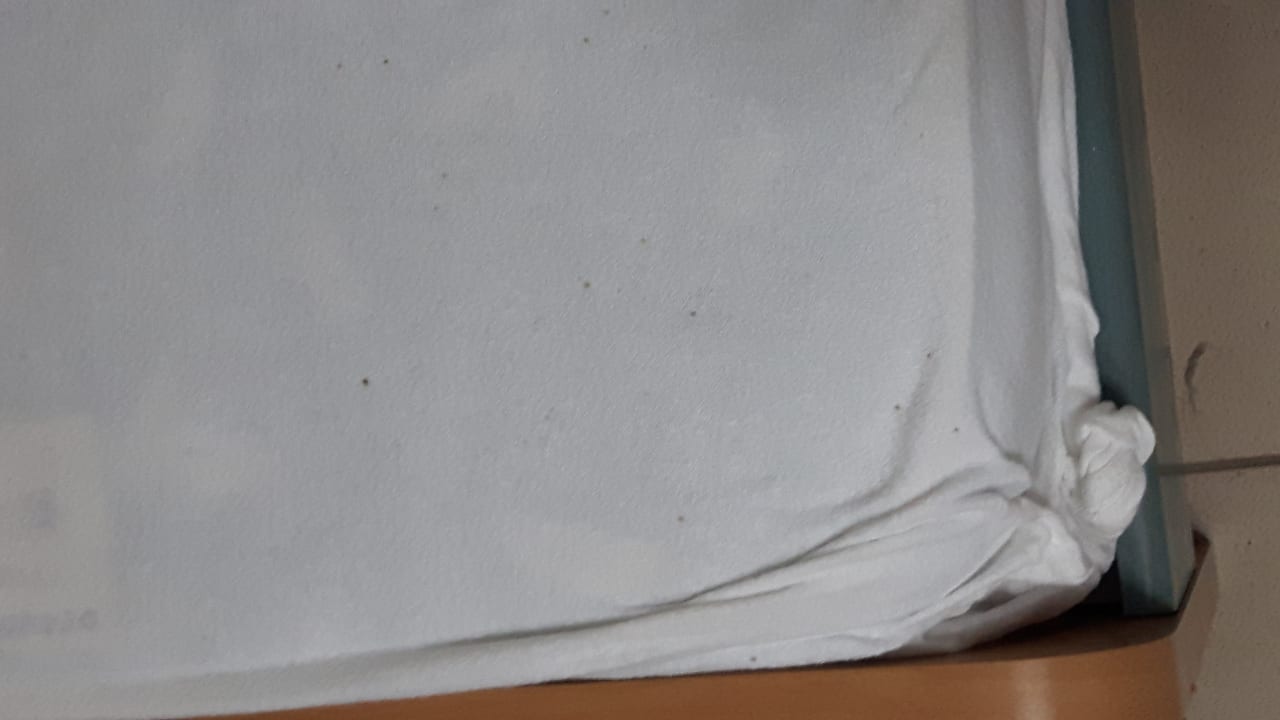 Zimmer Hotel Corina & Paloma Garden