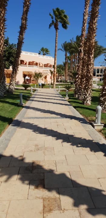 Sonstiges Beach Albatros Resort