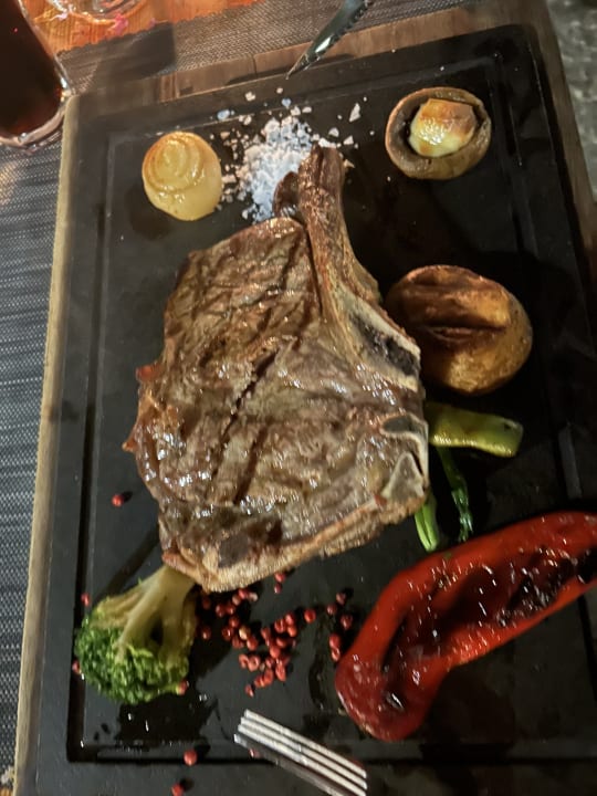 Gastro PALOMA Perissia