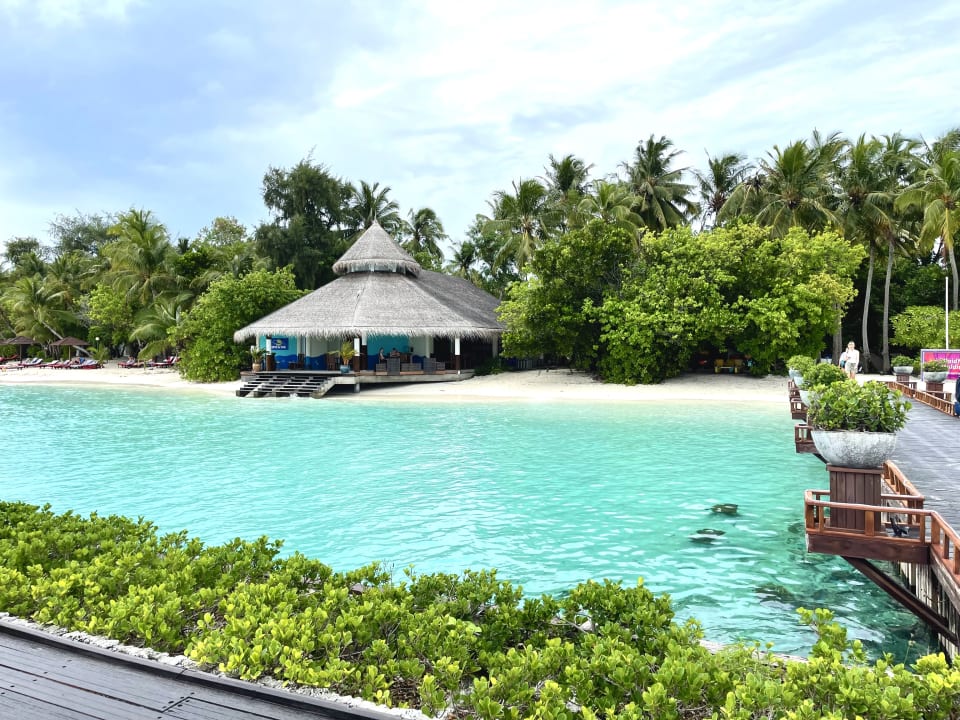 Lobby Ellaidhoo Maldives by Cinnamon