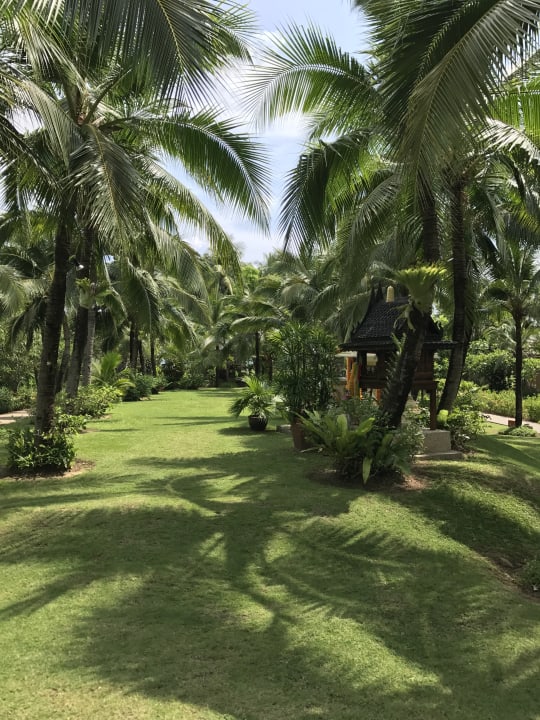 Gartenanlage Bandara Spa Resort & Pool Villas, Samui