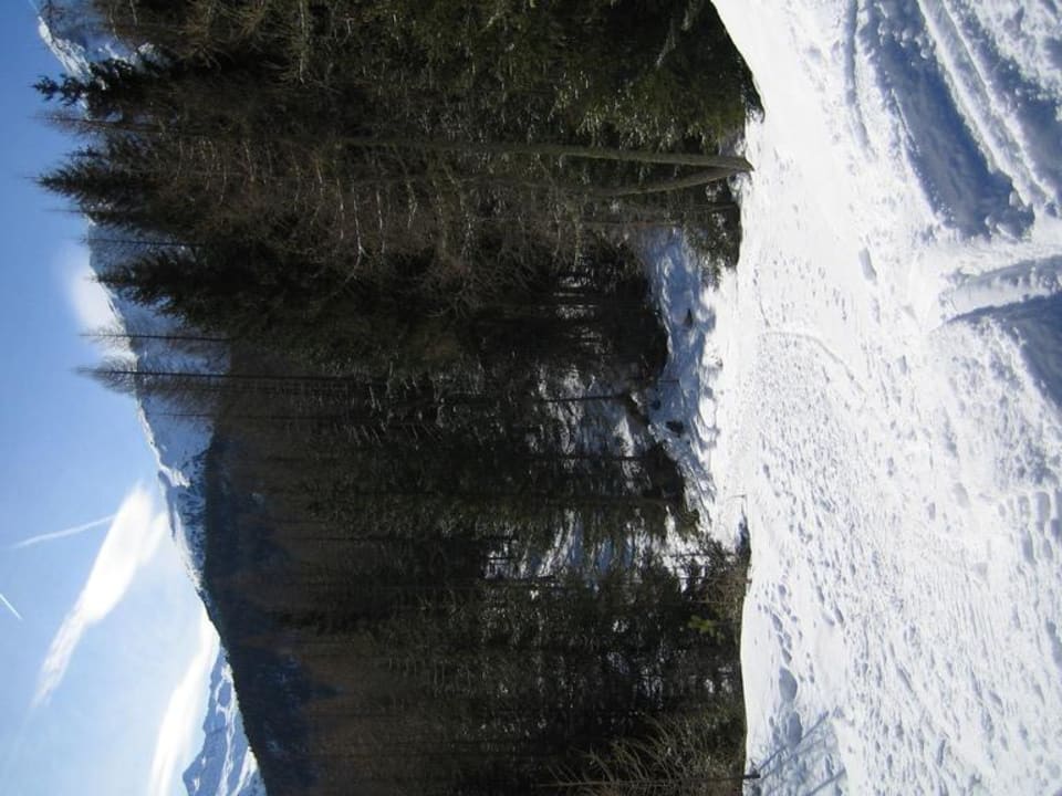 Weg zur Piste Pension Waldesruh
