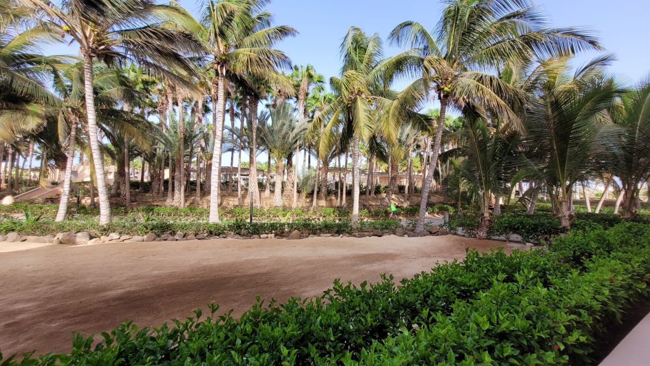 Gartenanlage Hotel Riu Cabo Verde
