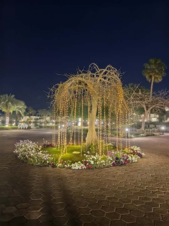 Gartenanlage Pharaoh Azur Resort