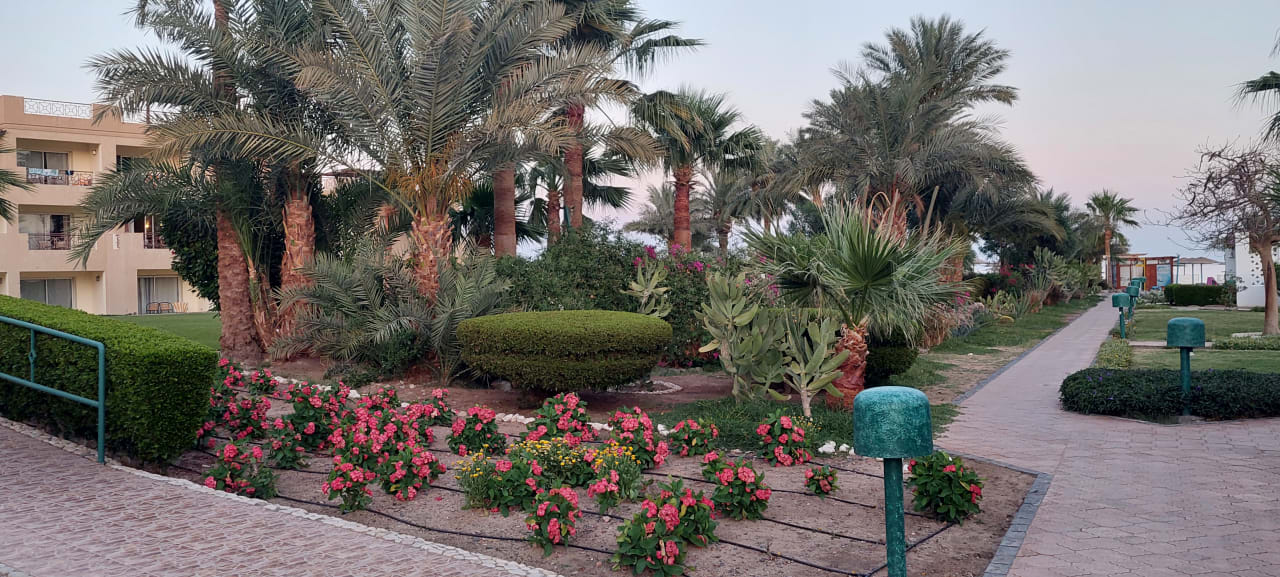 Gartenanlage Shams Safaga Resort