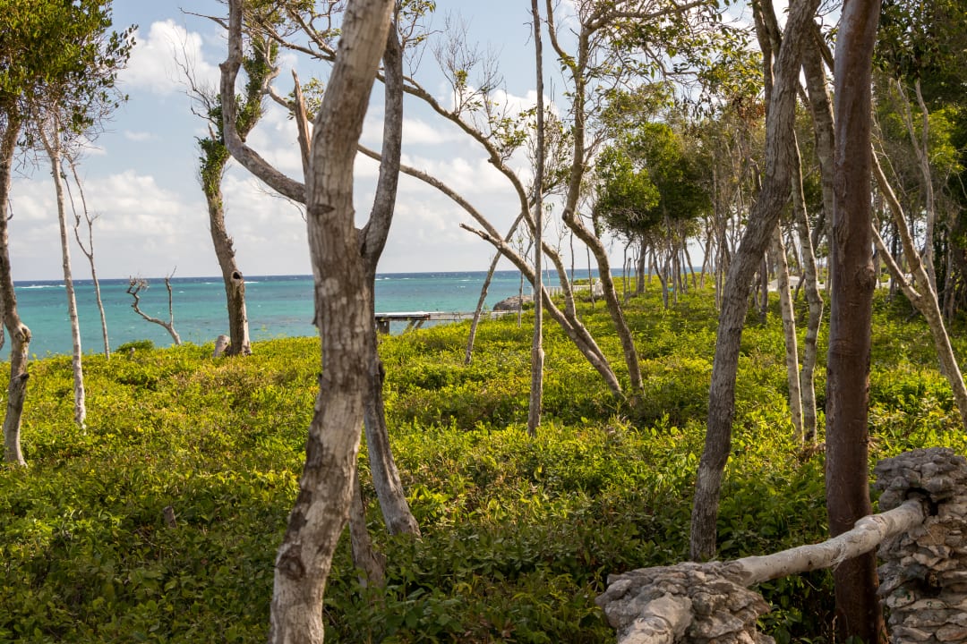 Gartenanlage Paradisus Rio de Oro Resort & Spa - Adults only