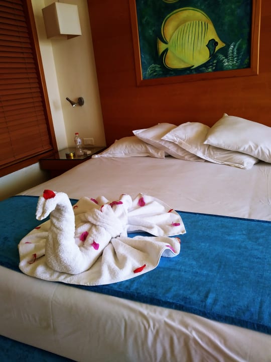 Zimmer Parrotel Beach Resort