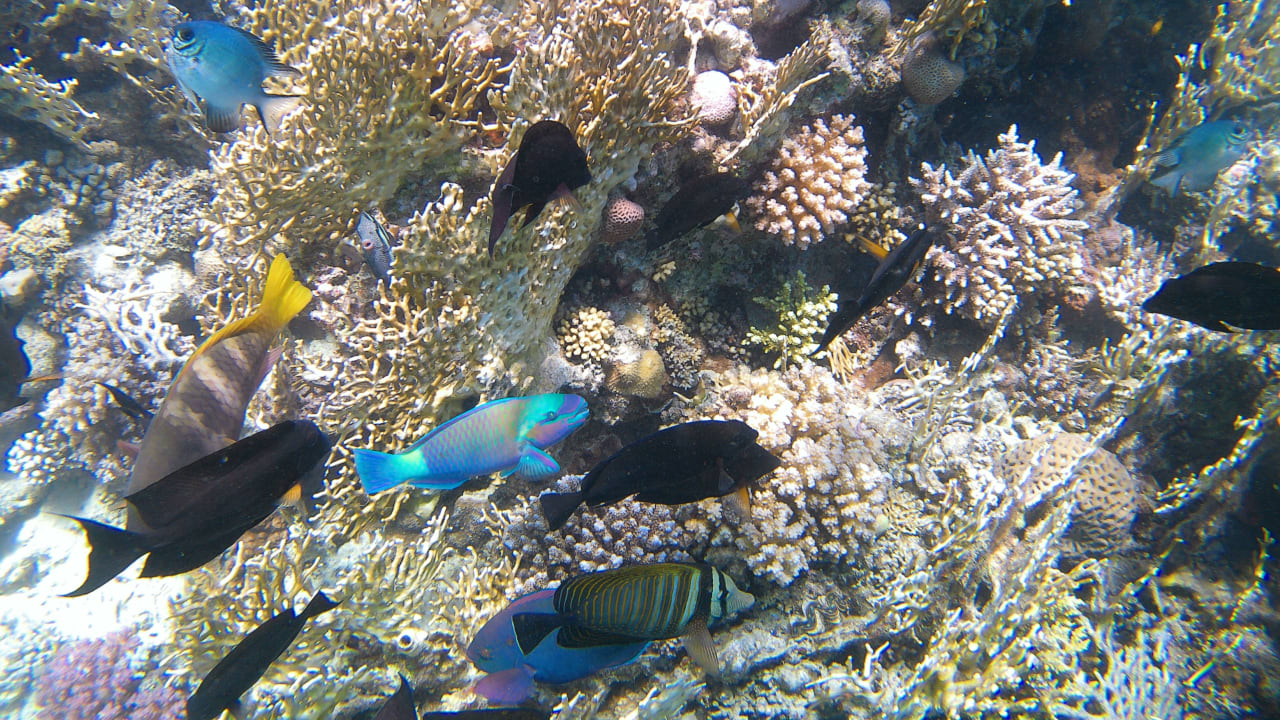 Sport & Freizeit Makadi Spa - Adults only