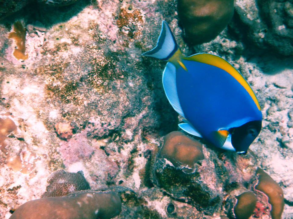 Strand Adaaran Select Meedhupparu Island Resort - Premium All Inclusive