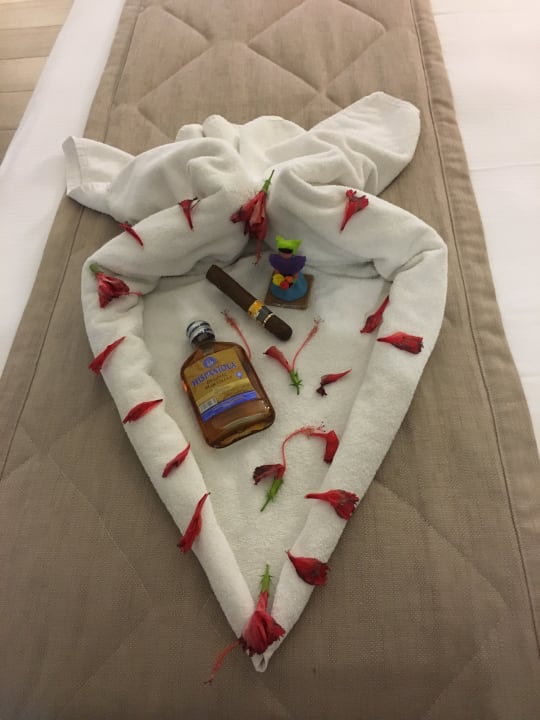 Zimmer Hotel Riu Palace Punta Cana