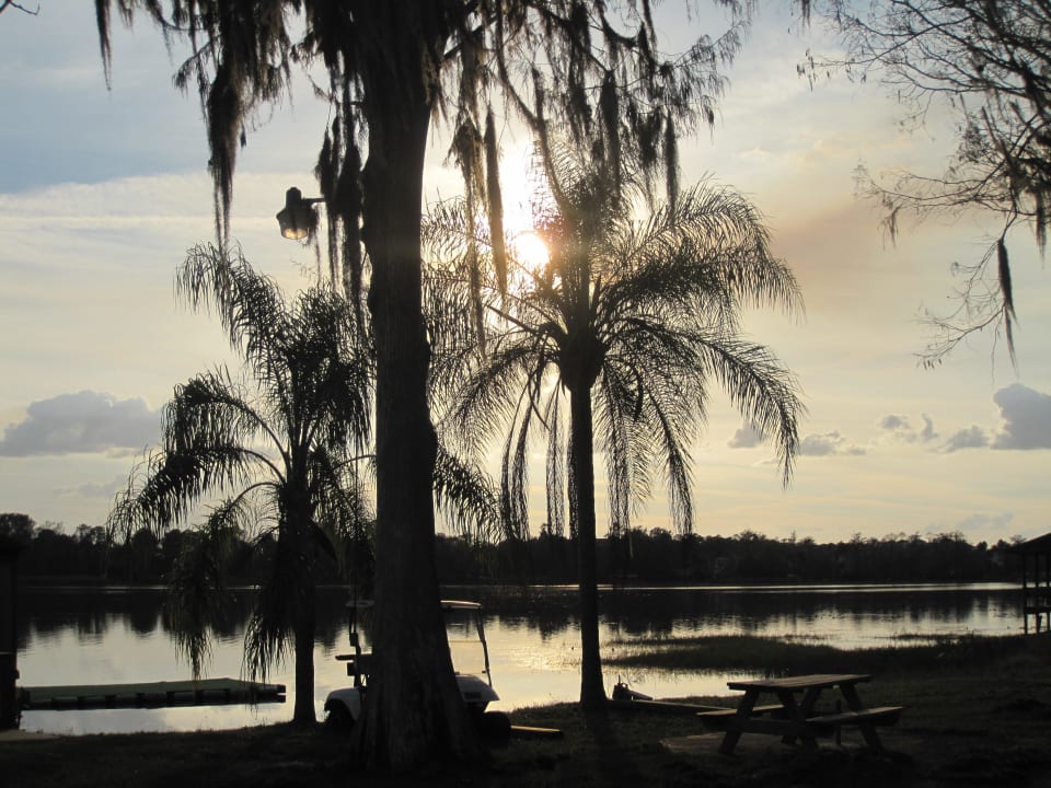 Palmen am See Hotel Howard Johnson Express Kissimmee
