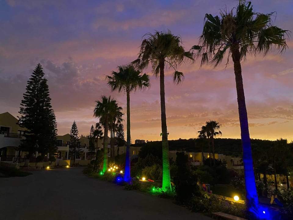 Gartenanlage Almyrida Village & Waterpark