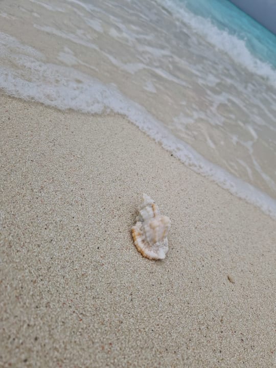Strand Kandima Maldives