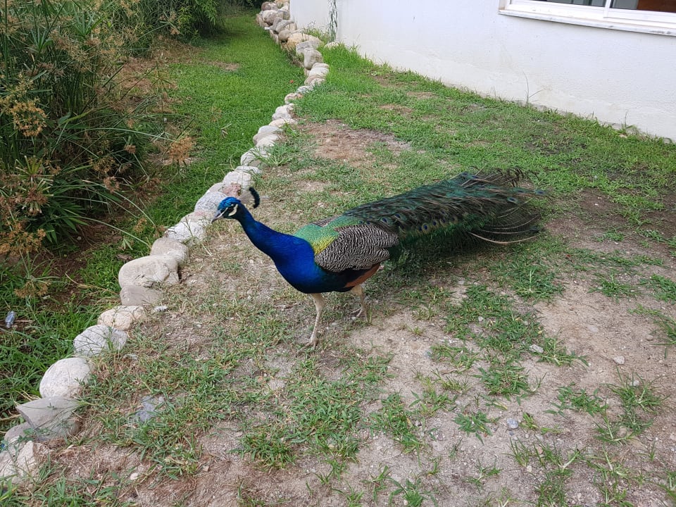 Sonstiges Seaden Sea World Resort & Spa