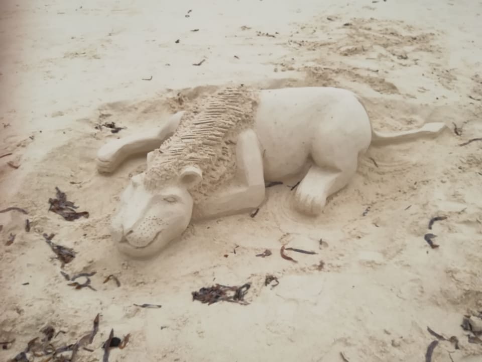 Strand Hotel Traveller's Club