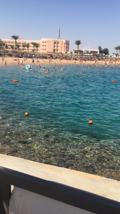 Strand Beach Albatros Resort