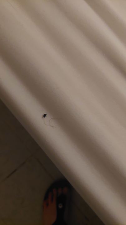 Zimmer Sun City Apartments